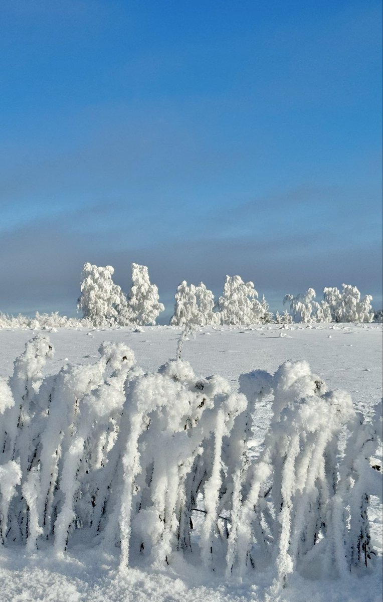 ❄️⛄️🥰

#finland #suomi