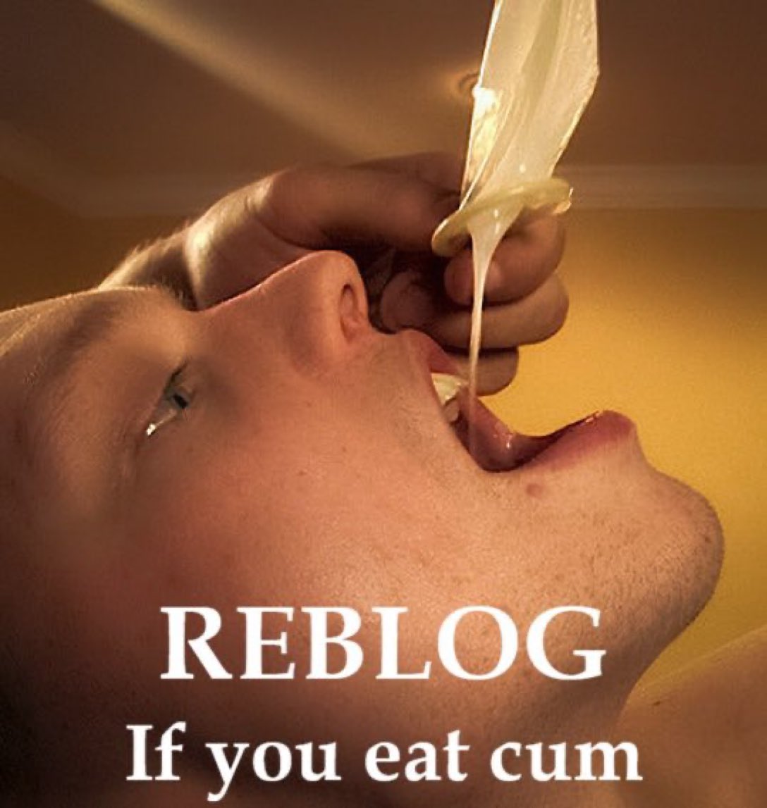 Insatiable SubDad tweet media