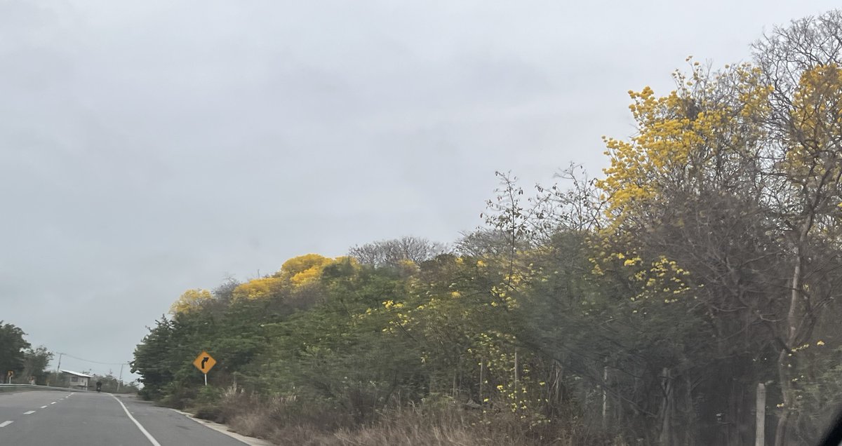 Jorge Enrique Robledo tweet media