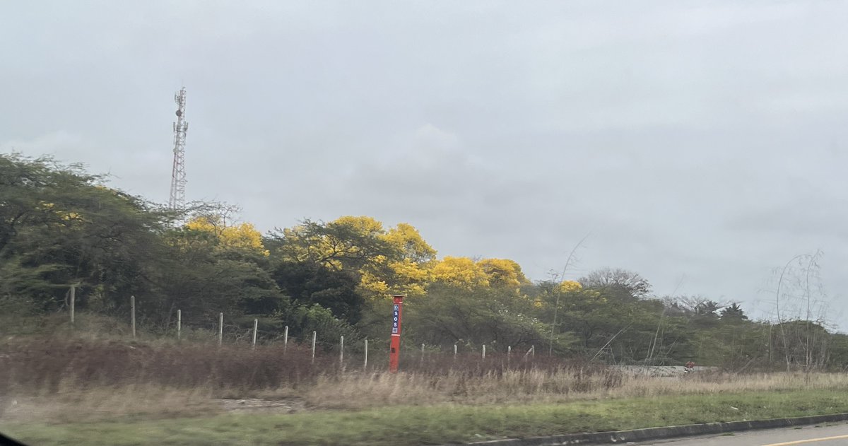 Jorge Enrique Robledo tweet media