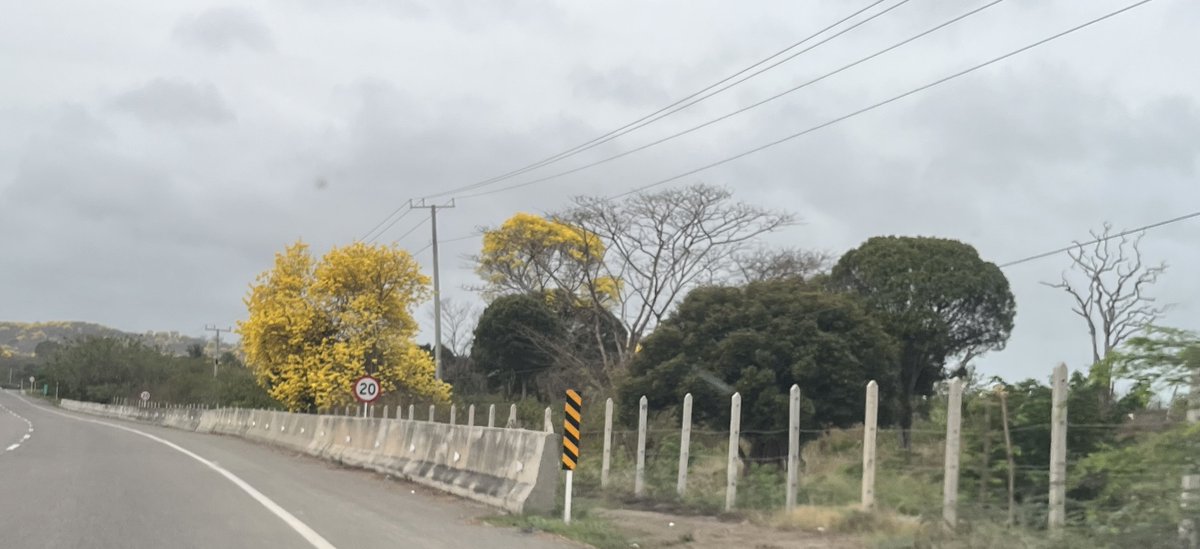 Jorge Enrique Robledo tweet media