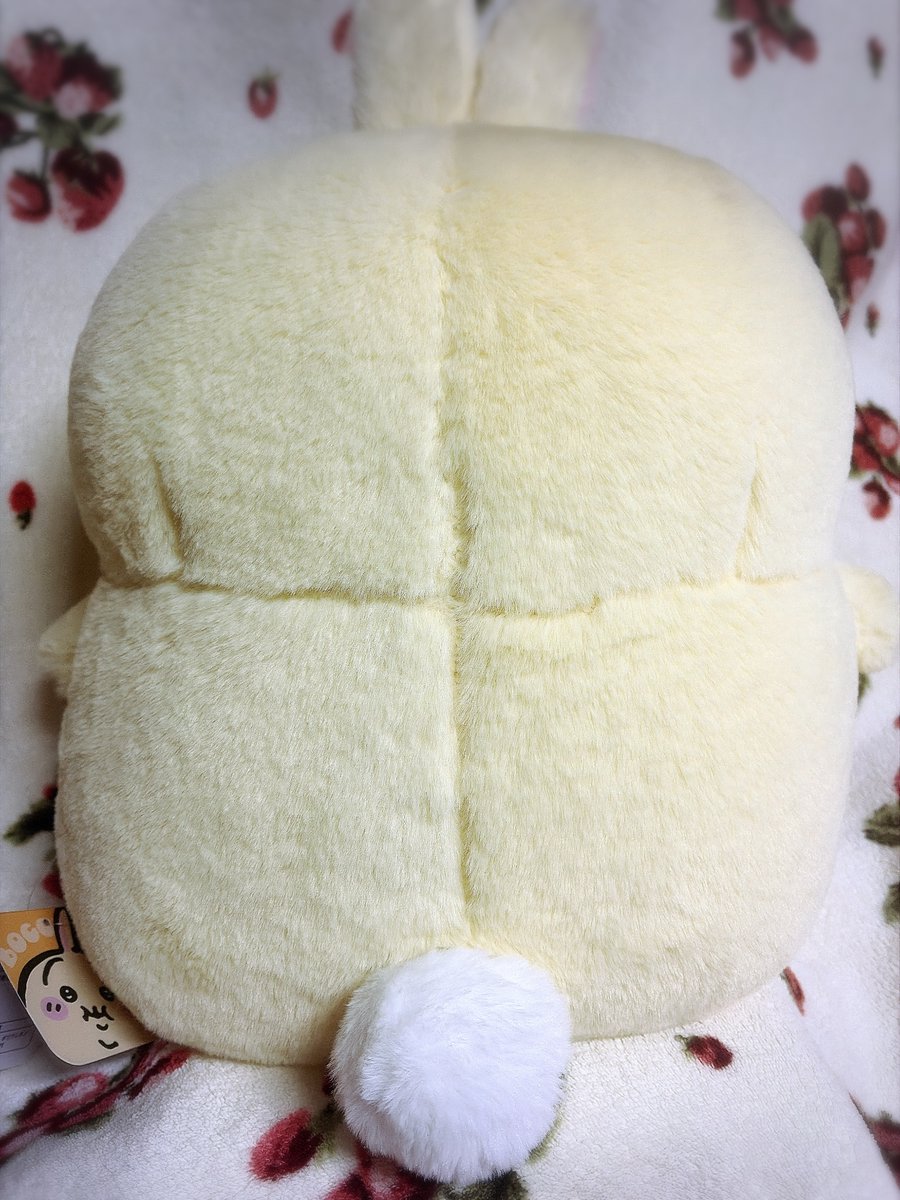 <a href="/pryahhha/">ちいくわ</a> うちのおでぶちゃんも見てください💢💢
もはやうさぎじゃなくてはんぺんです💢💢
かわいすぎます😡👊💢💢