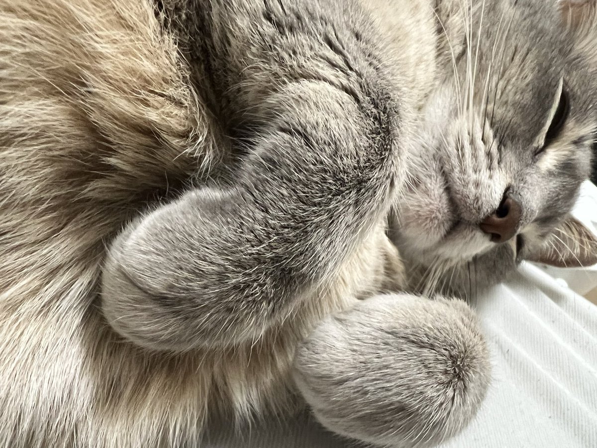 横向くとこれがいる