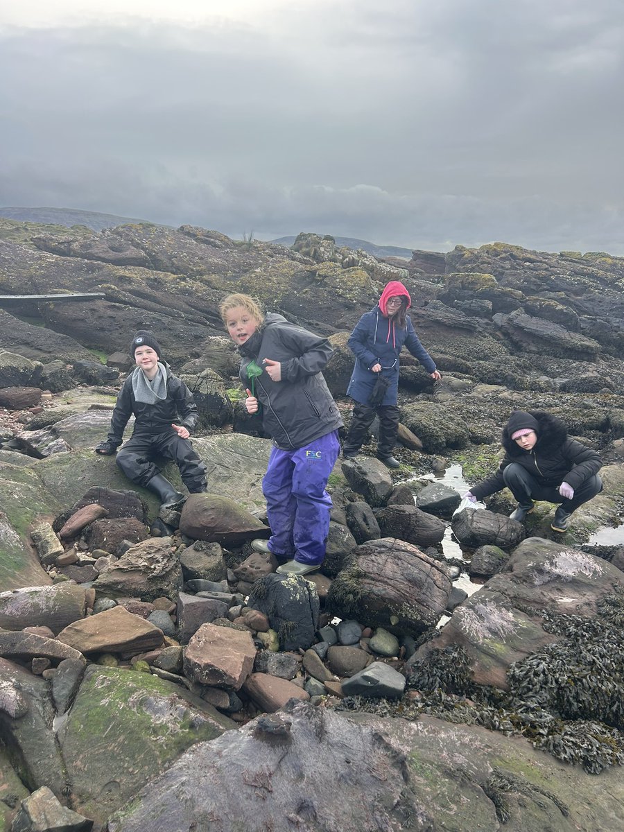 VeldonMrs's tweet photo. Out exploring the rock pools by the beach. We found lots of interesting creatures 🐚🦀 https://t.co/HBVf6sZNxO