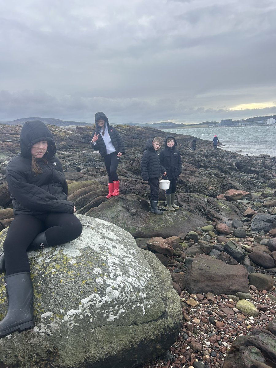 VeldonMrs's tweet photo. Out exploring the rock pools by the beach. We found lots of interesting creatures 🐚🦀 https://t.co/HBVf6sZNxO