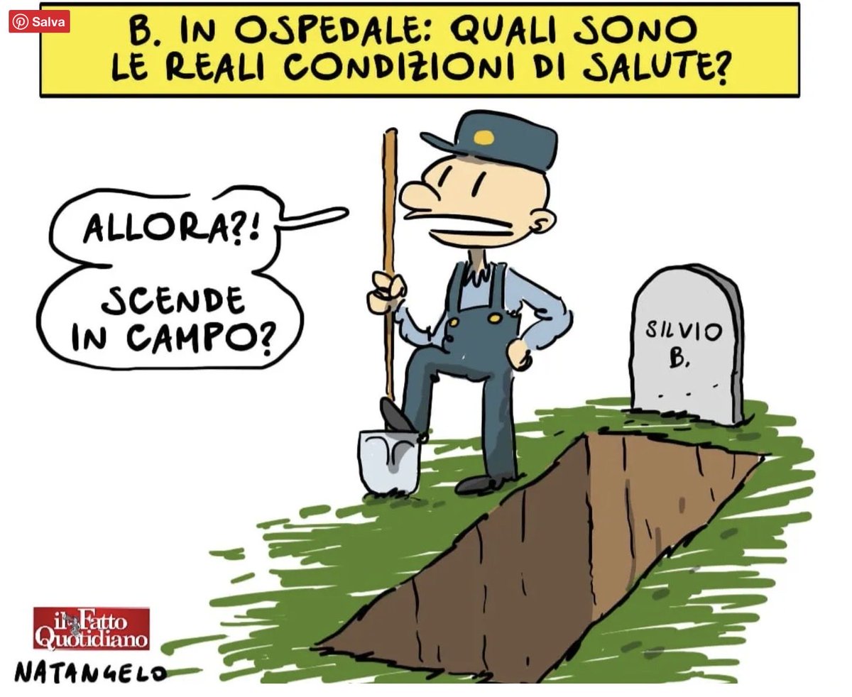 Paola L. F. Sassi tweet media
