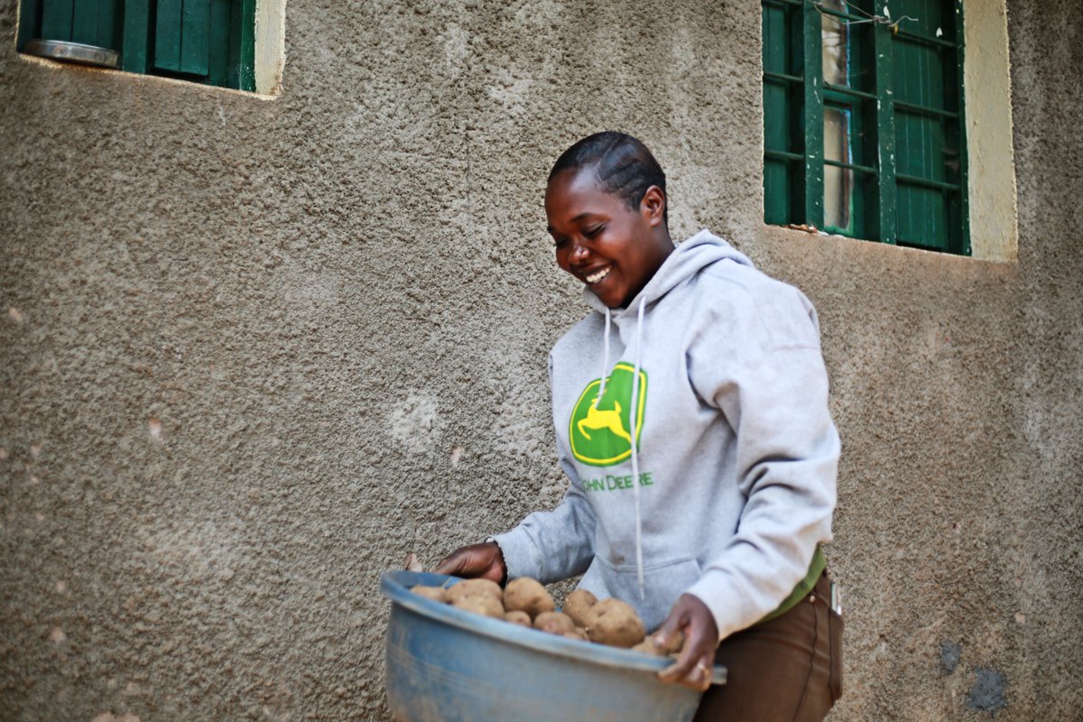 oneacrefundRW's tweet photo. In the 26A season, #Tubura delivered over 159 MTs of certified potato seed to farmers. The harvest season is here, and we’re excited to hear farmers’ experiences! Meet Jeanne Uwamariya, who picked up 300kgs of seed and is now celebrating a strong yield increase up to 3.3 MTs. https://t.co/LSxDeQZwj5