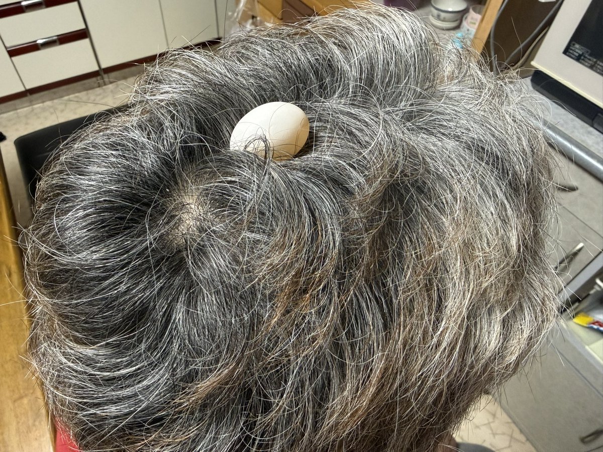 popoko0501's tweet image. 巣…

巣……🪺

リンちゃんついに父ちゃんの頭にやらかす💦