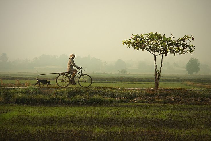 निंदा इस संसार का नियम है,
प्रशंसा तो लोग मजबूरी और स्वार्थ से करते हैं !!!
