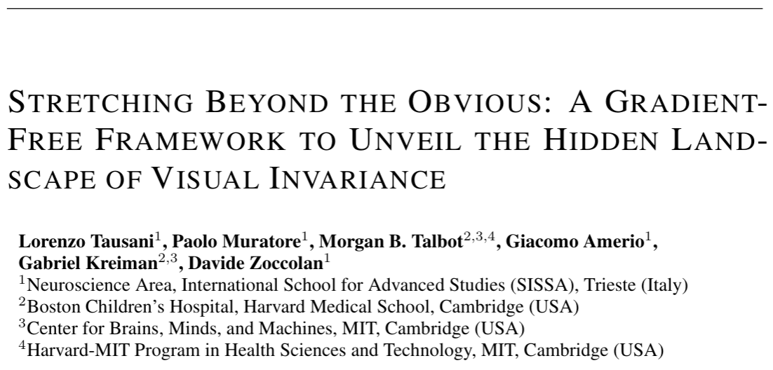 Lorenzo Tausani tweet media