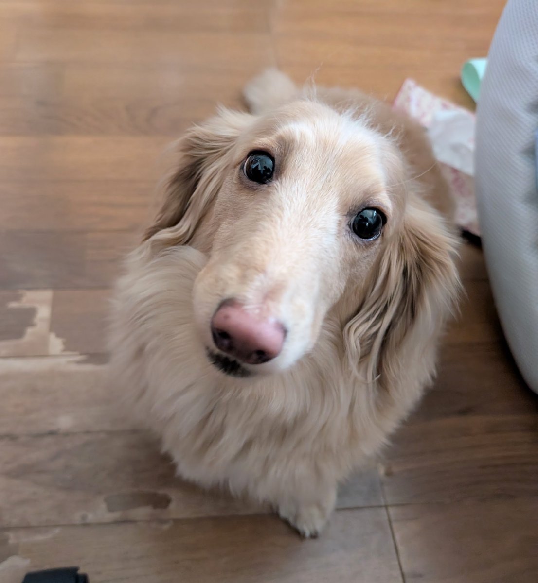 らきぐり tweet media