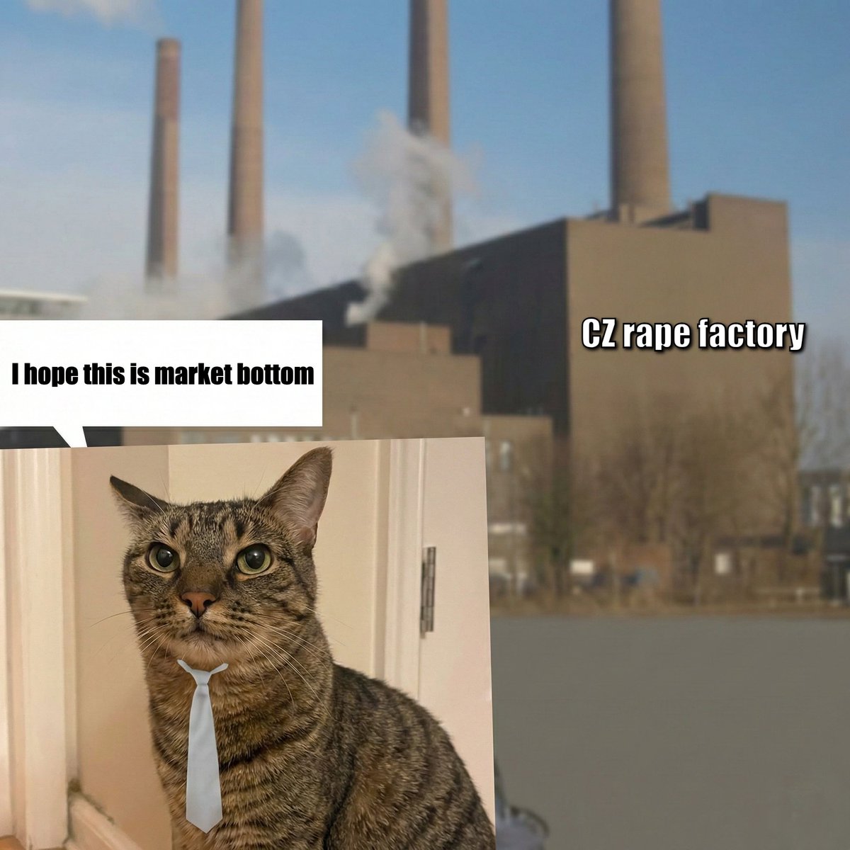 factorycatsol's tweet photo. gm

the good thing about being at 0 is that the only way is now up https://t.co/L9rX4LsdHQ
