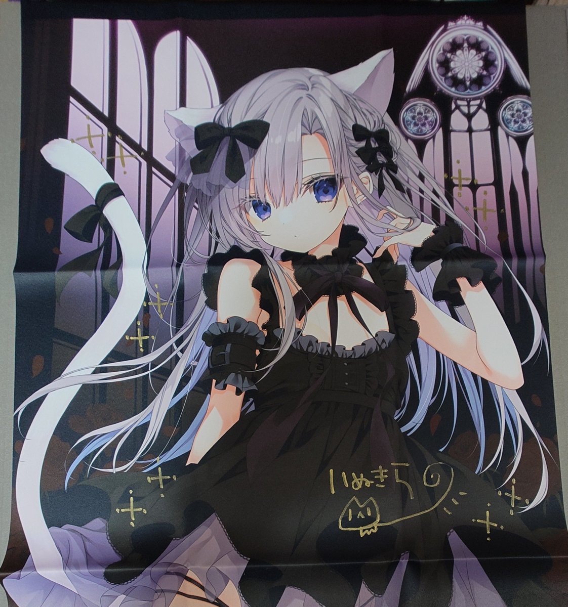 いぬきら(狗神煌) (@kilacco) / Posts / X