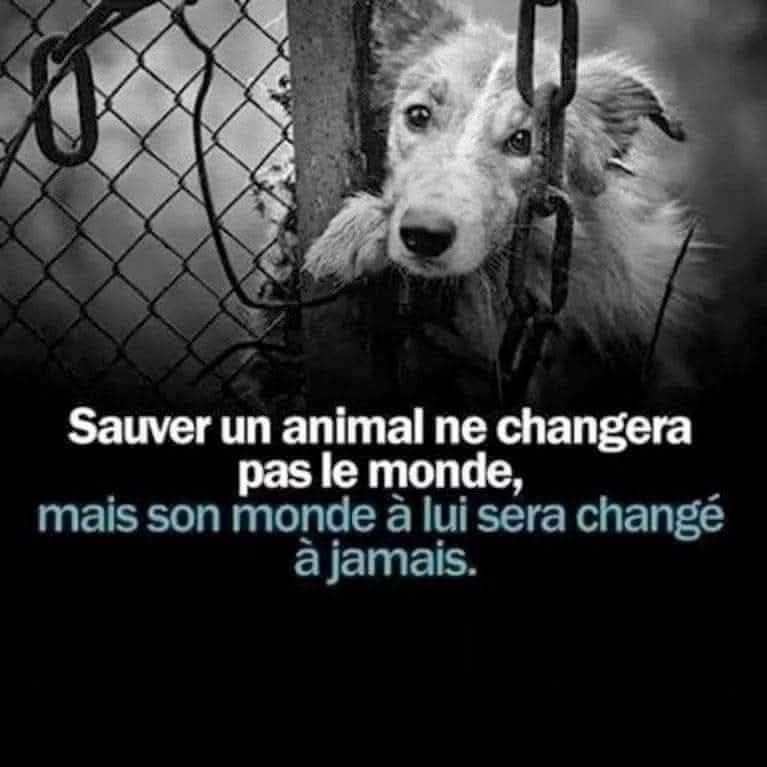 Adea Claude (@adeaclaude) on Twitter photo 