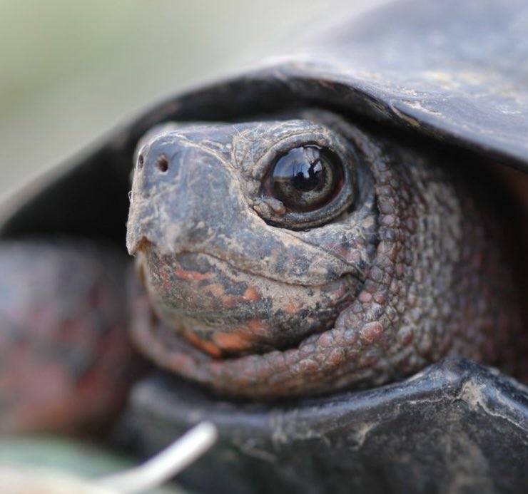 Sam weer tweet media