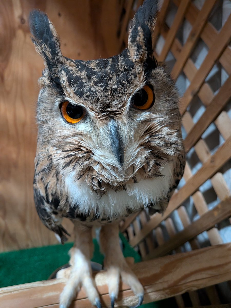 ただいま〜。ご飯持ってくるから、もう少し待っててね