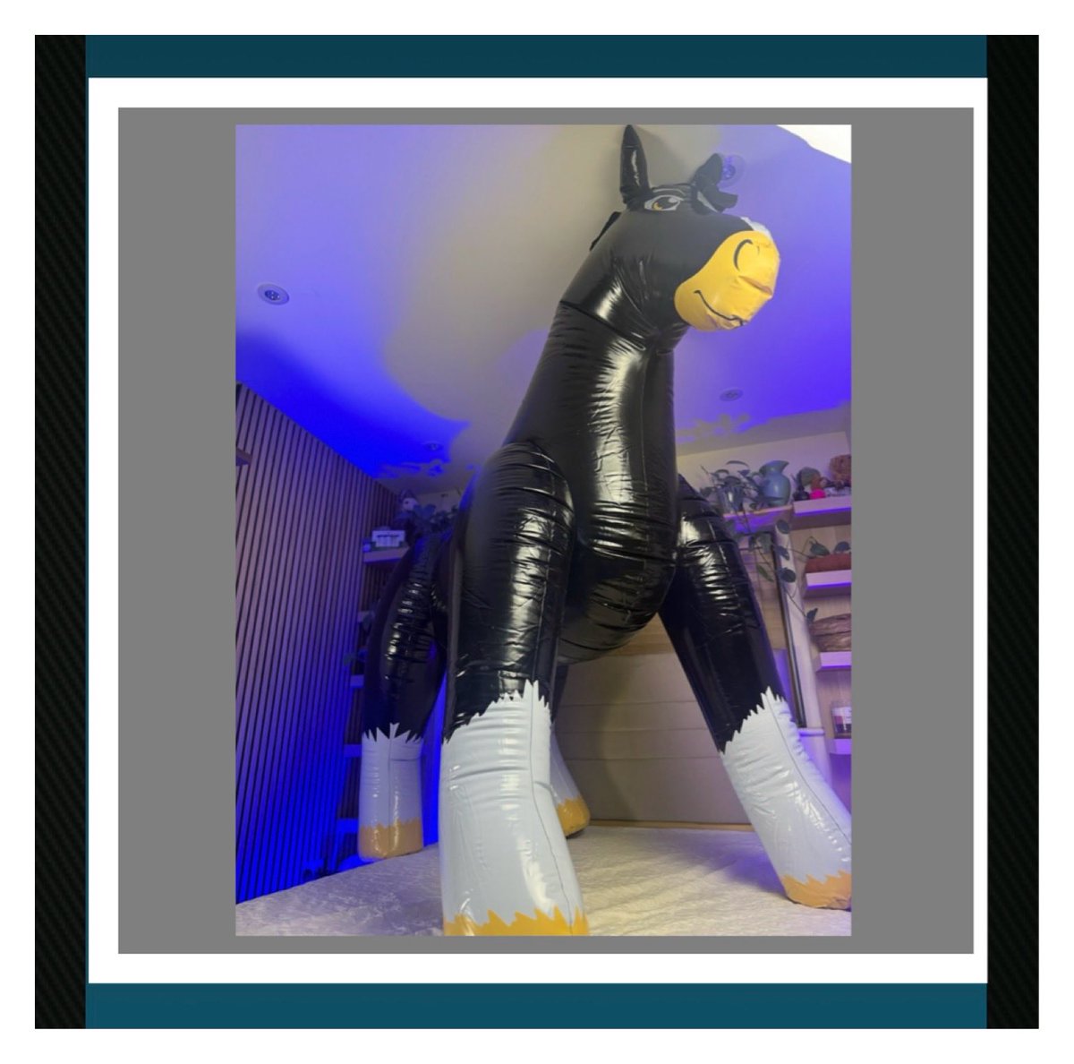 ScarlettPais's tweet photo. The “curse” of being “too big for the bedroom” 😉🐴❤️ #inflatables #inflatableworld #inlove #giftsfromafan https://t.co/IhbP68FfE2