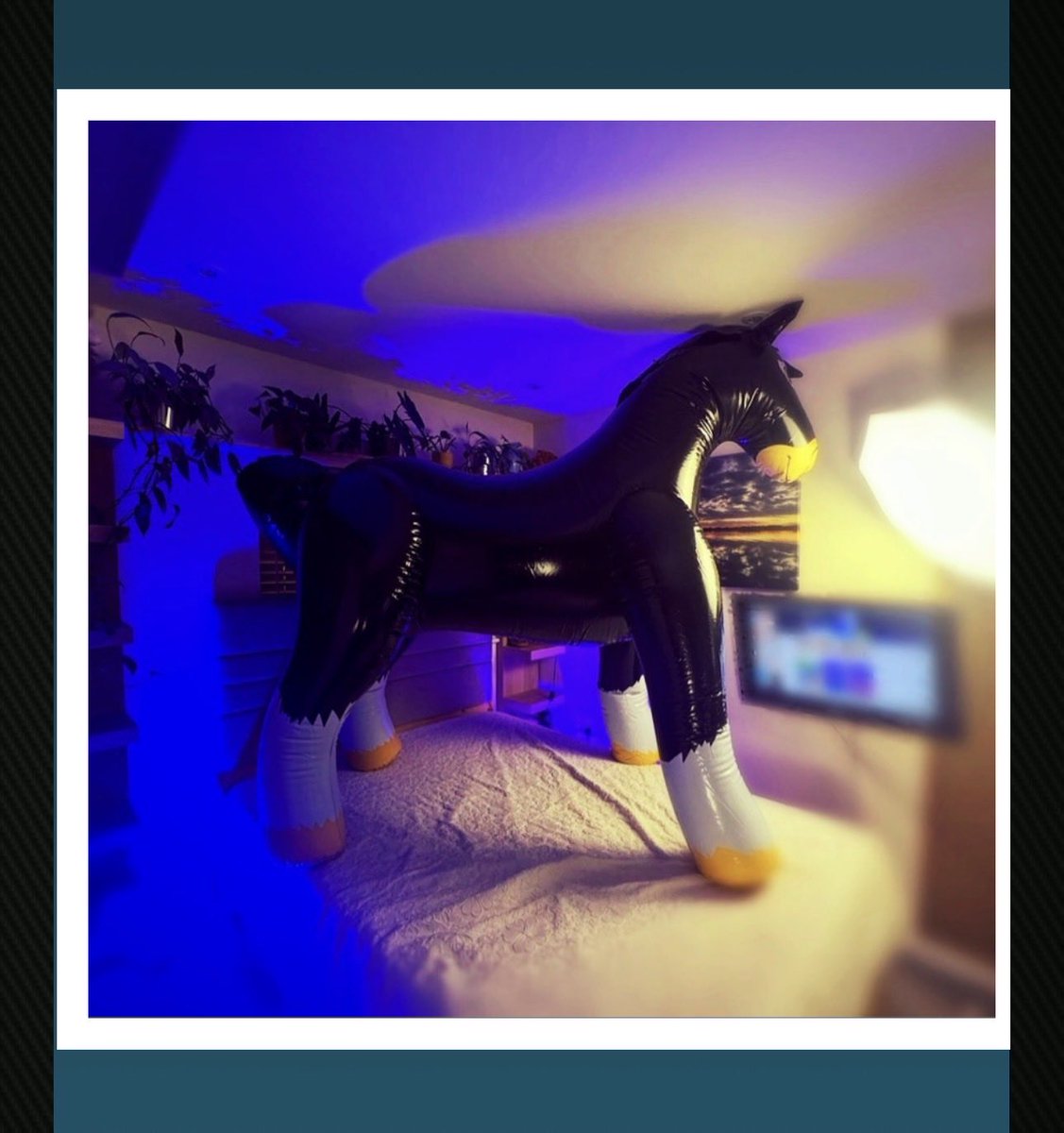 ScarlettPais's tweet photo. The “curse” of being “too big for the bedroom” 😉🐴❤️ #inflatables #inflatableworld #inlove #giftsfromafan https://t.co/IhbP68FfE2