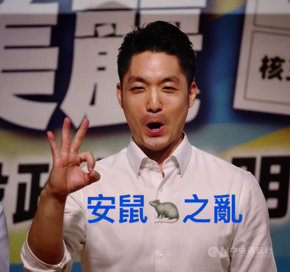 台北新春鼠🐀來寶