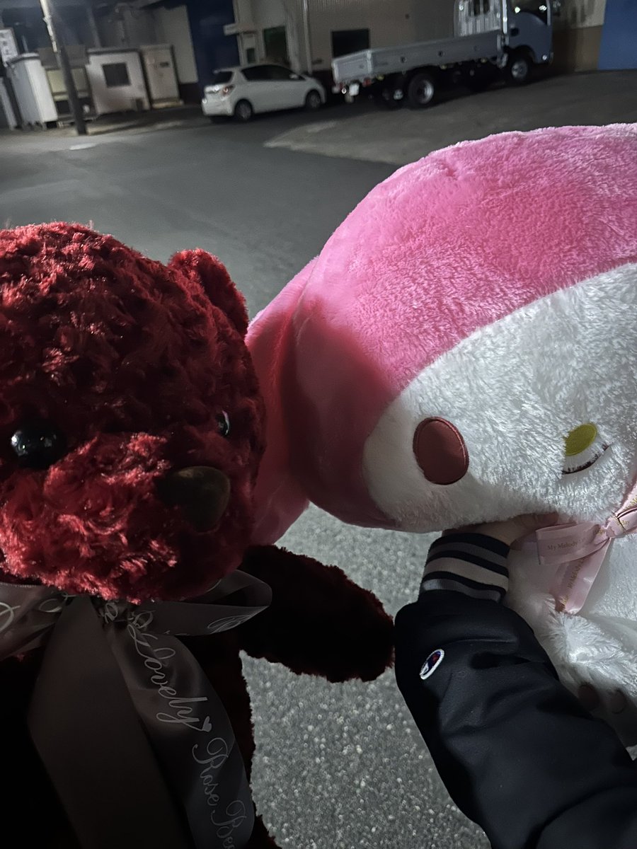 まめちゃんが私らにぬいぐるみプレゼントしてくれたー！かわいすぎ