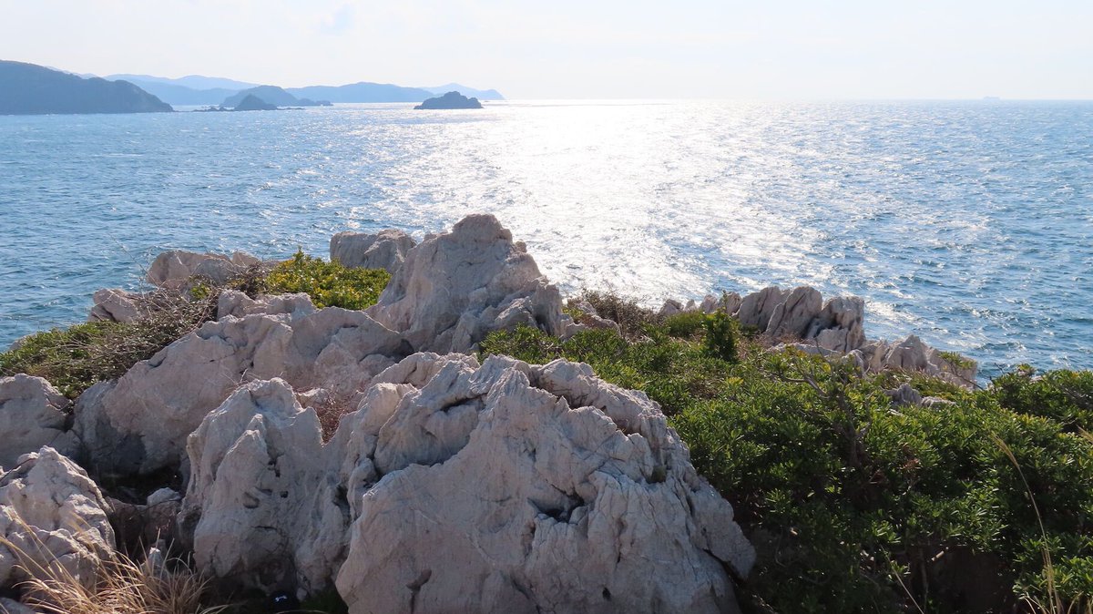 shigsak2's tweet photo. #和歌山県 にある白崎海洋公園で、白い岩と青い海・空がおりなす絶景を楽しんだ後、 #龍神丸 で有名な #高垣酒造 の純米生原酒をゲット。複雑に推移する味がすごく個性的。
詳しくはブログにて

https://t.co/zADk0s3fYK https://t.co/byPF2sab3a