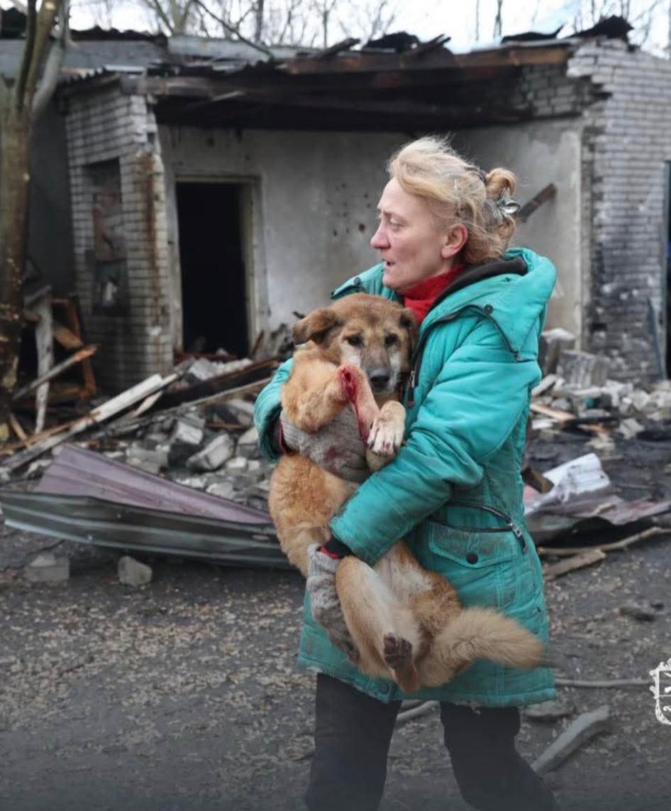 SOS!!! Irina's shelter in Zaporizhzhia has now had a direct hit. Please donate and help. 25 enclosures blown apart, 13 dogs so far passed away with another 7 with serious injuries and others missing. Volunteers have been injured too. We have worked with Irina since 2022 and have