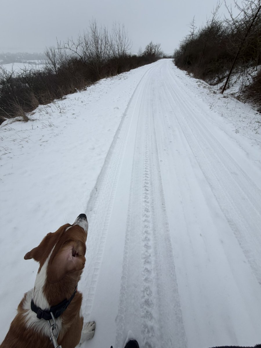 🙋‍♂️Heute im Mittelosten.
Schönen FrTa😊