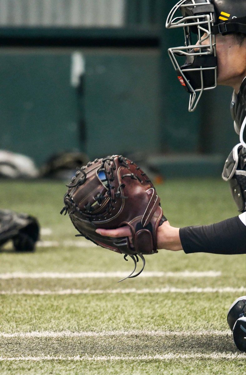 キャッチャーミットを主役に。 まだ新しい防具に変わって無かったけど