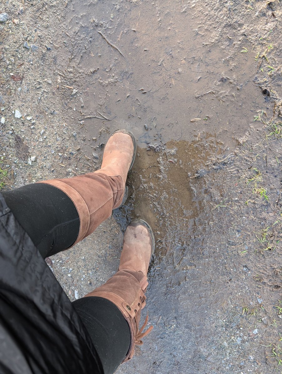 Beg4Jess's tweet photo. My boots need cleaning with your tongue https://t.co/d2419l2KCs