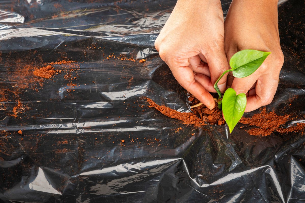 europawire's tweet image. BASF Stabilizer Solutions for Agriculture, Energy Infrastructure, and Industrial Storage at Plastindia 2026 news.europawire.eu/basf-showcases…

@BASF #plastic #additives #Plastindia2026 #durability #sustainability #partnership