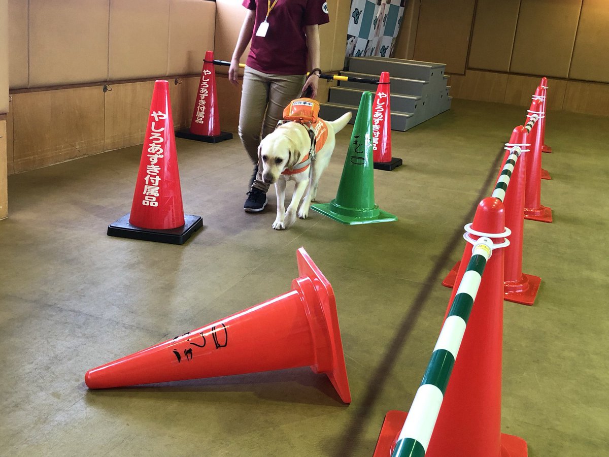 被災地の復興現場などでたまに『やしろあずきのイラストつきの三角コーンが使われているが本物か』という問い合わせがありますが、皆様が僕に嫌がらせで送ってくる三角コーンは所定の手続きの上で全国各地の自治体に送られているので本物です。
つまり皆様の悪意は善意に変換されているのです。