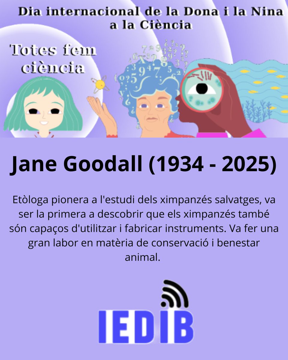 IEDIB (Institut d'Ensenyaments a Distància) tweet media
