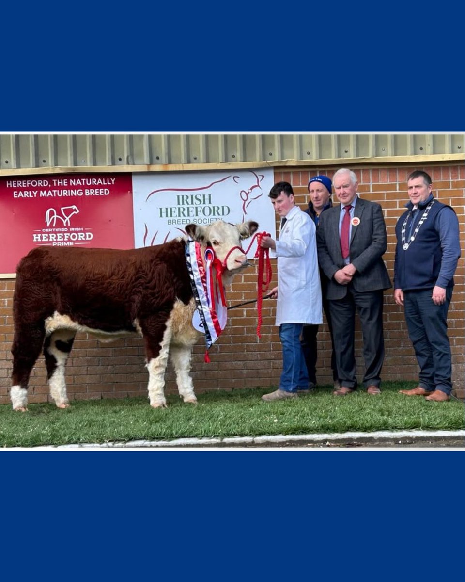 Prestige Beef tweet media