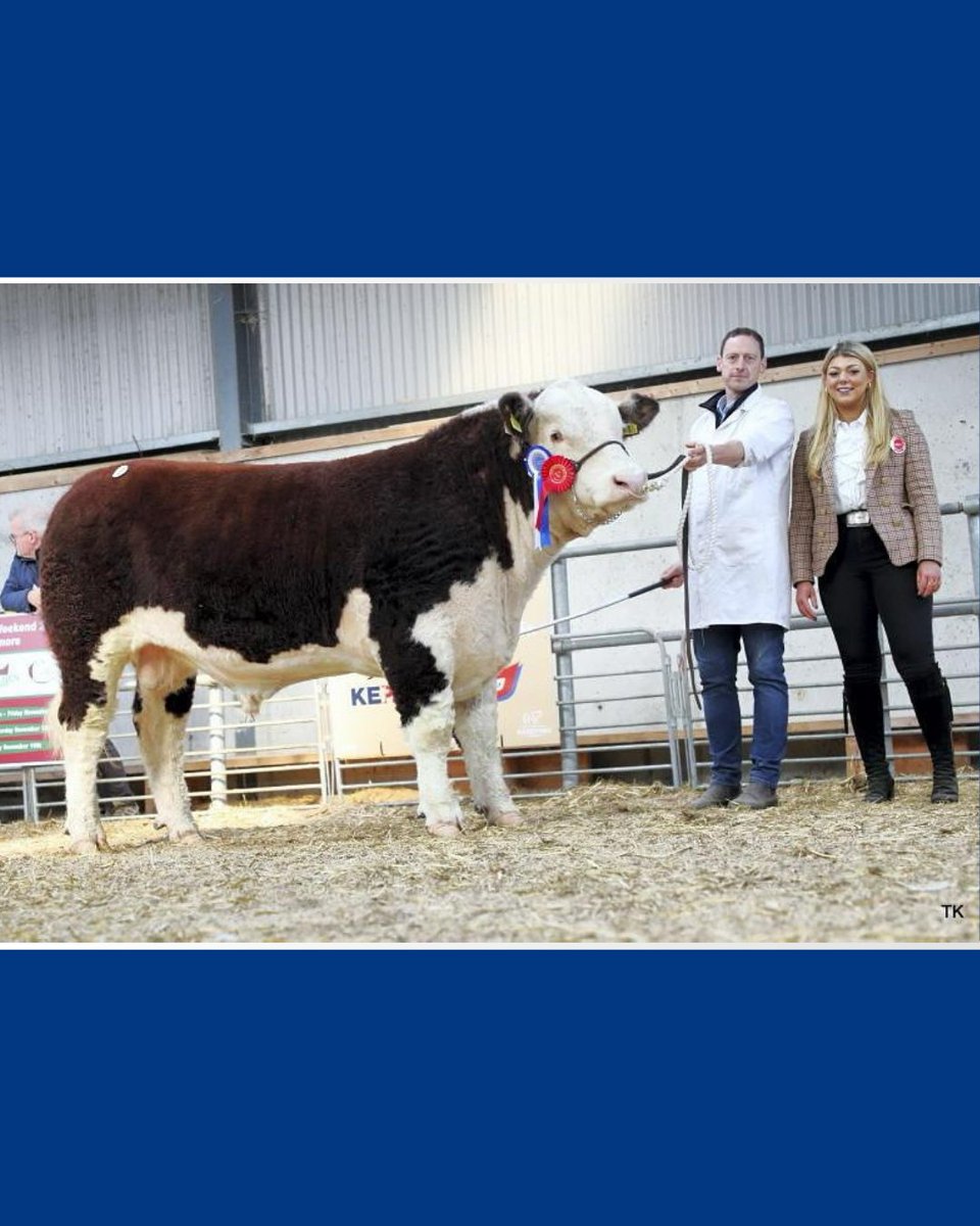 Prestige Beef tweet media