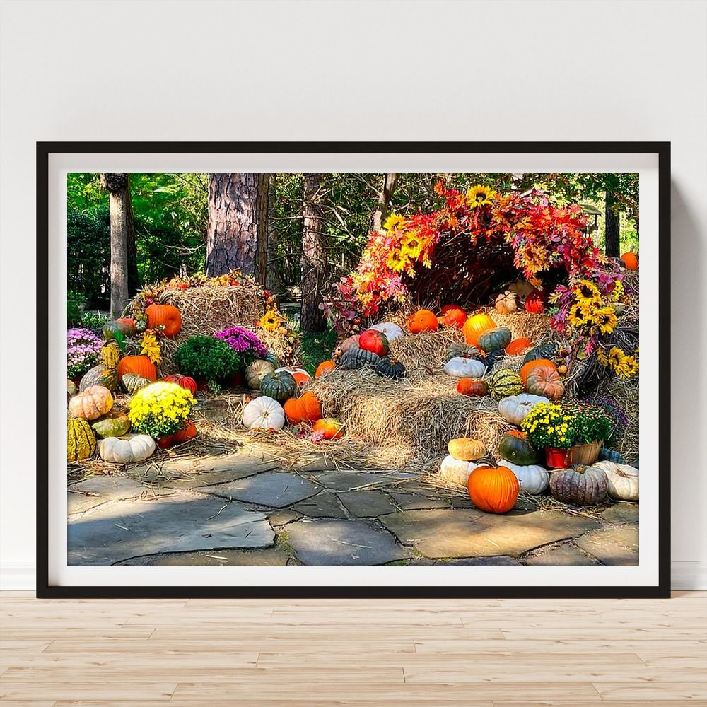 JudyVincent74's tweet image. #Autumn #Flowers and #Pumpkins framed print Also available as canvas, metal, wood, or acrylic prints and on many products #photography #BuyIntoArt #HomeDecor #JudyVincentPhotography #WallArt 
See print options here ---&amp;gt; buff.ly/qmSs9Lq