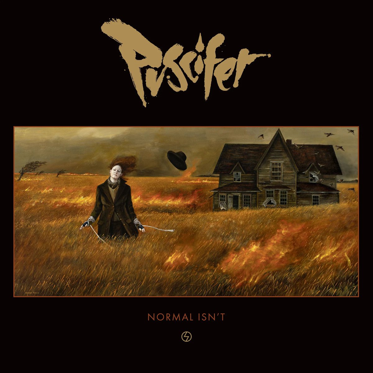 ToolPusciferAPC's tweet image. Normal Isn’t 
OUT NOW ! 
@puscifer @carinaround #MatMitchell