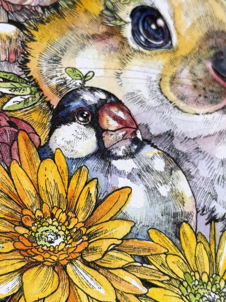 マツダケン@12/4〜16銀座個展 (@keso901005) / Posts / X