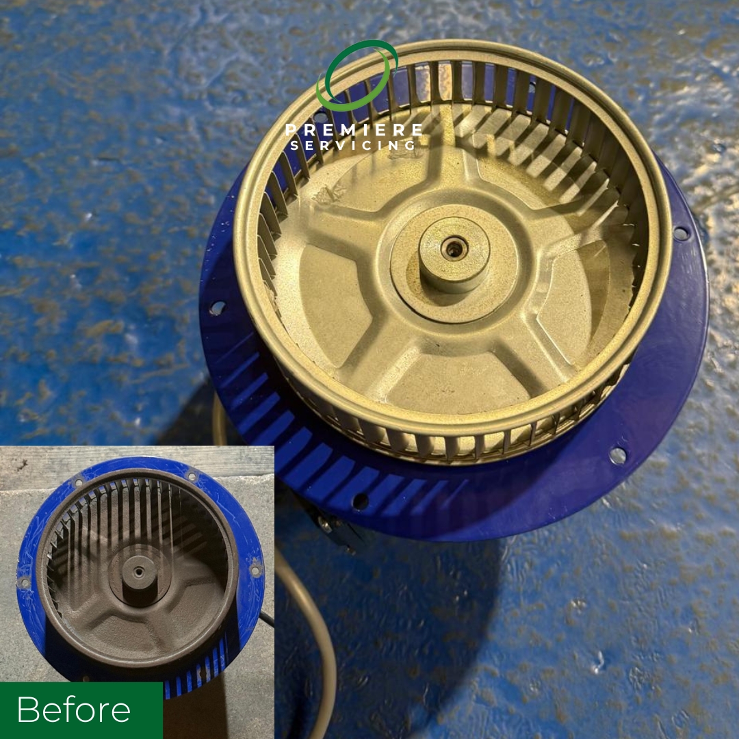 Premiere Servicing Ltd tweet media