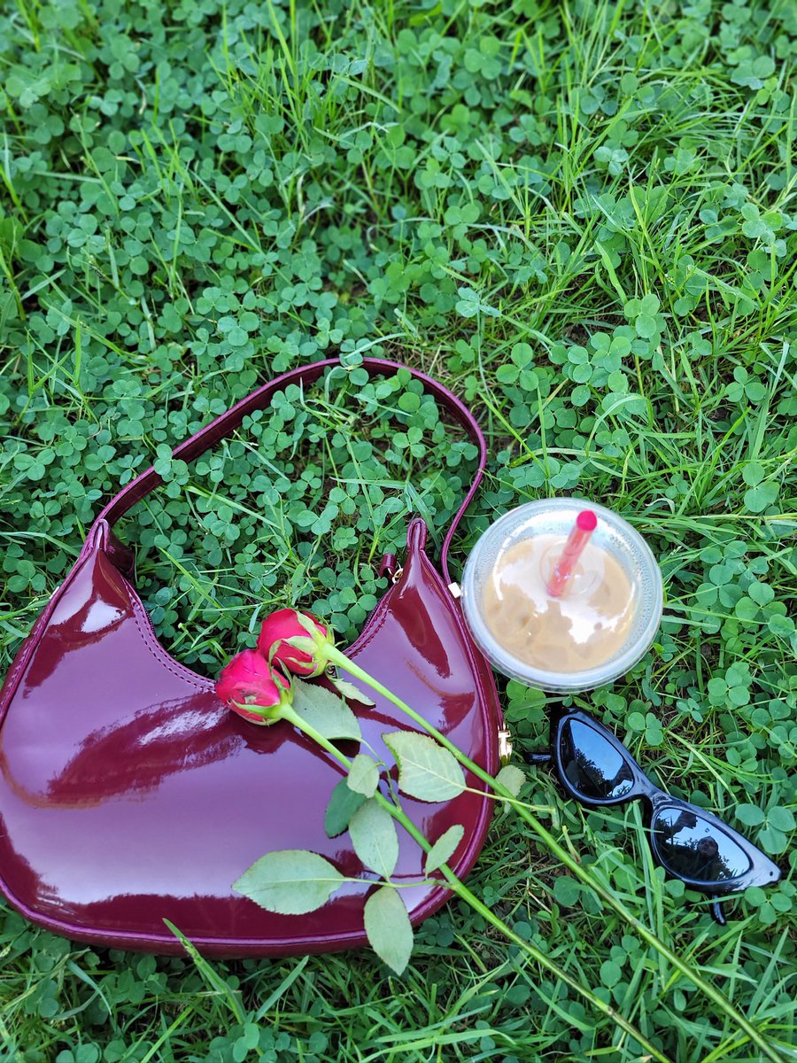 essss_28's tweet photo. 🌹 https://t.co/ftxBke9dbt
