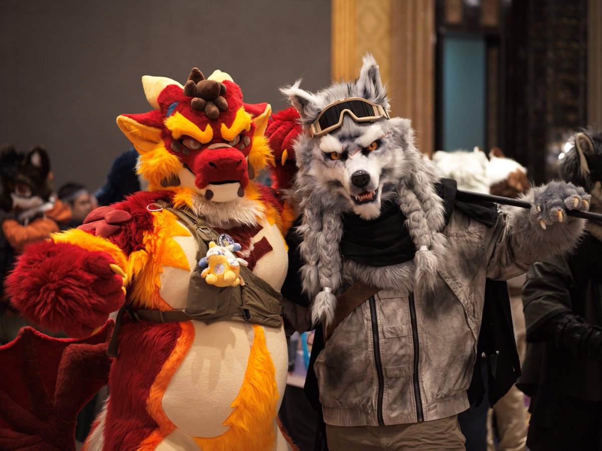 CardWolf tweet media