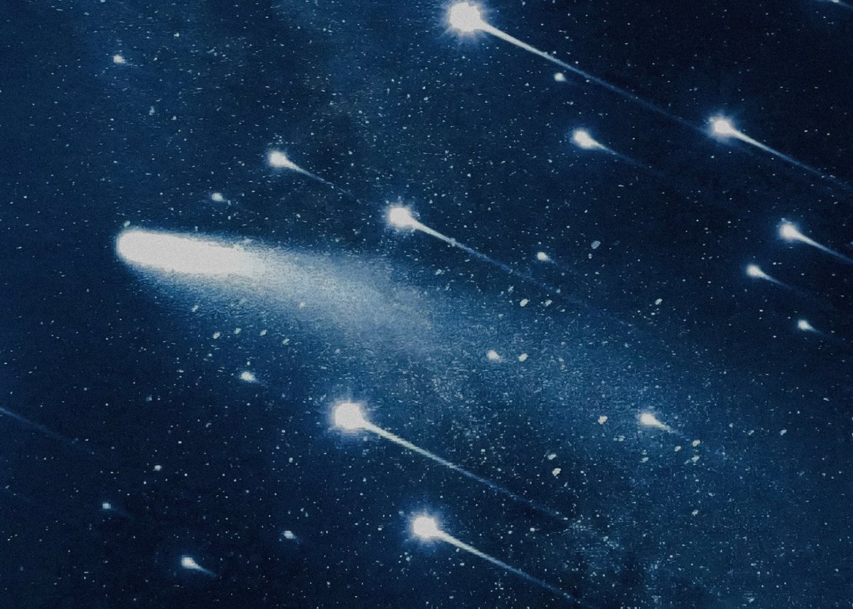 petalesblancs's tweet image. 