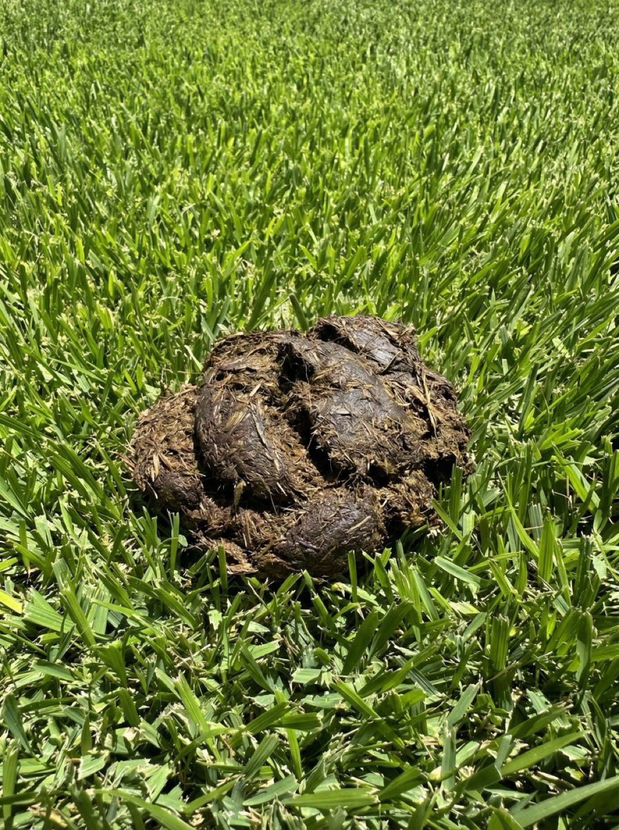 Riviera.gg | Casino + Sportsbook on Base tweet media