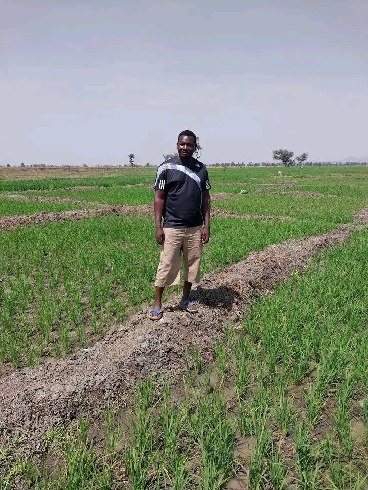 Yohanna Nuhu tweet media