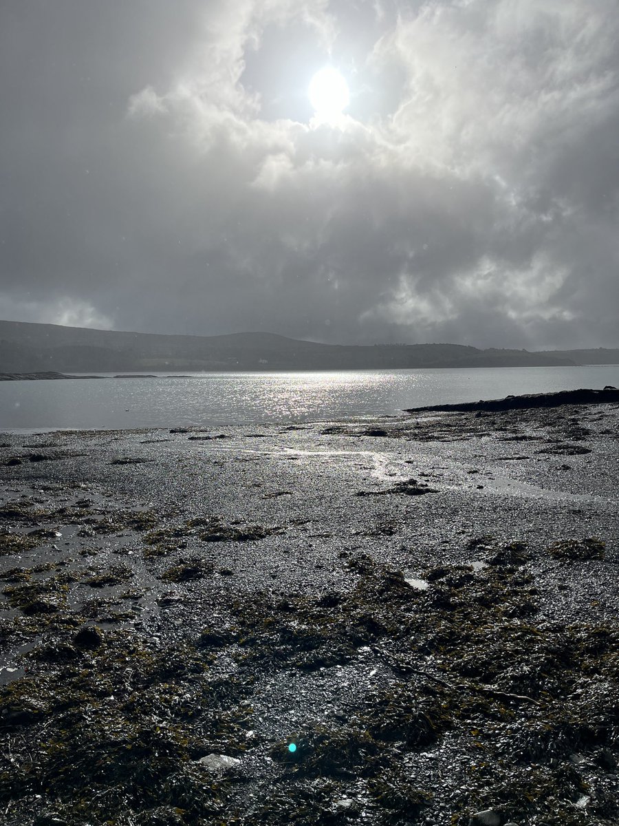 tim deasy tweet media