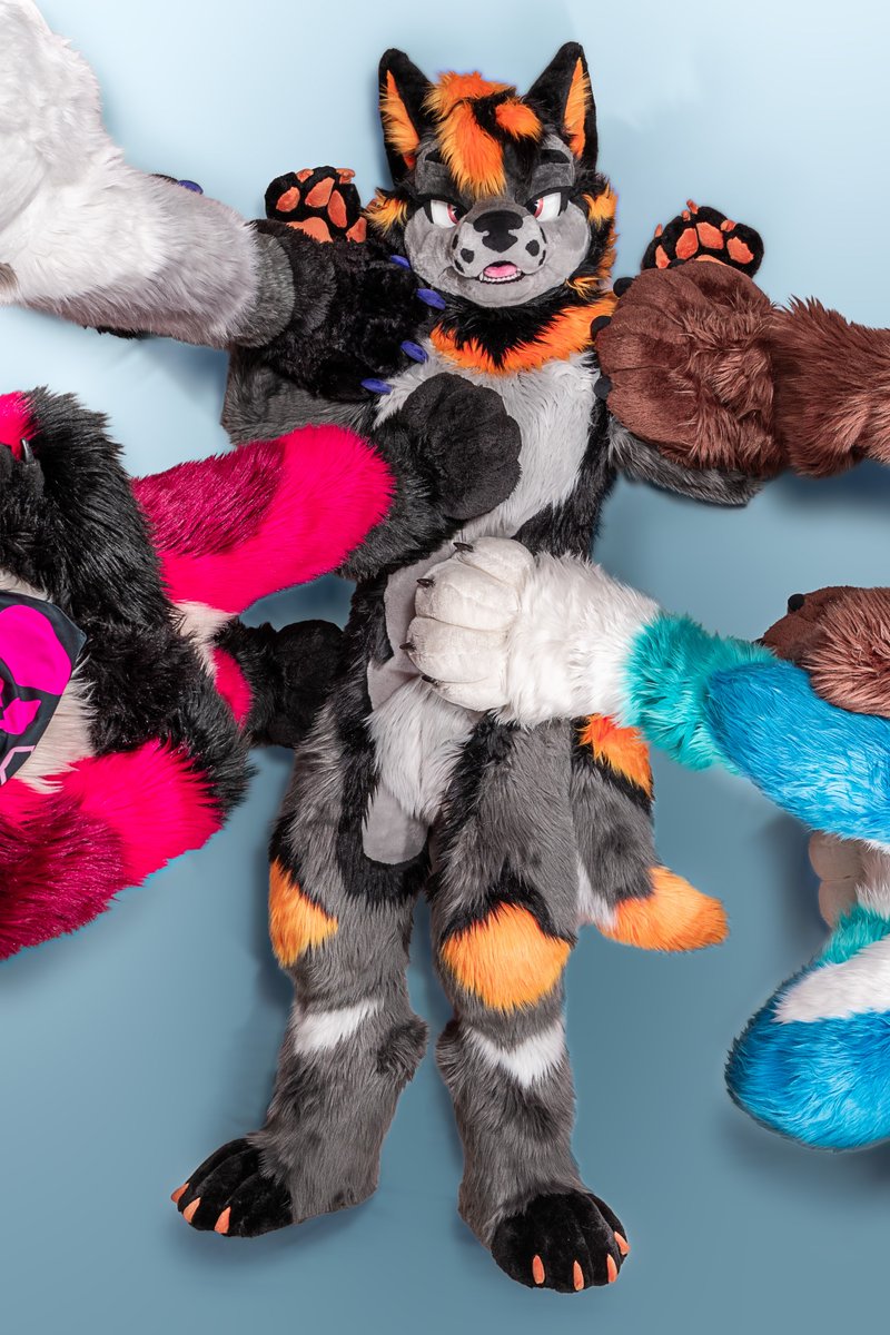 Xeris 🐺 🔜 NFC tweet media