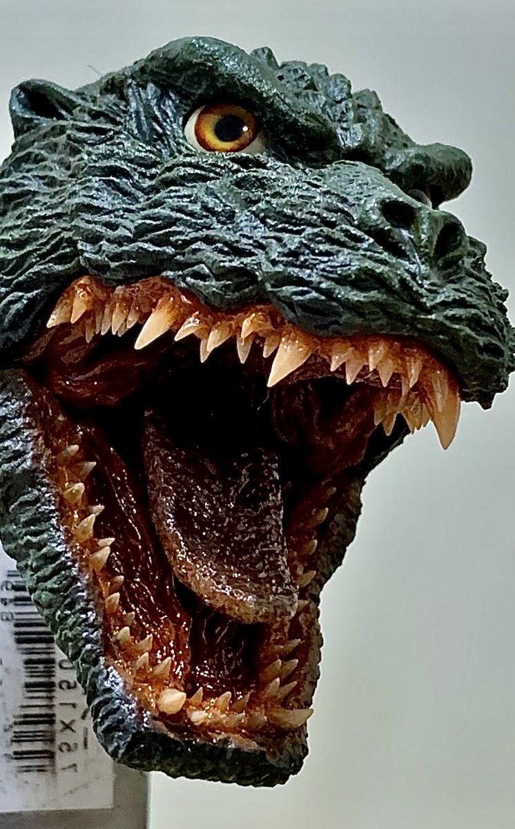 TOM (@Tom510h312k) / Posts / X