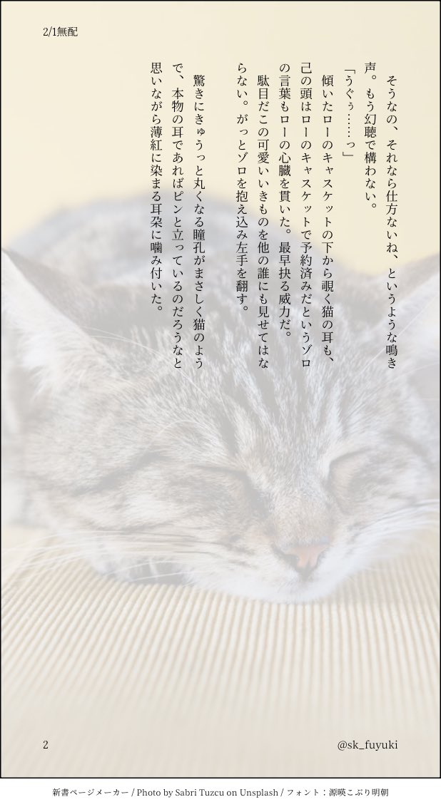 🏴‍☠️/ロゾ
2/1のイベントで無配にさせて頂いたものの中身です
お手にとって下さった方、ありがとうございました😊
元のと文字無しはblskにあります→bsky.app/profile/sk-fuy…
