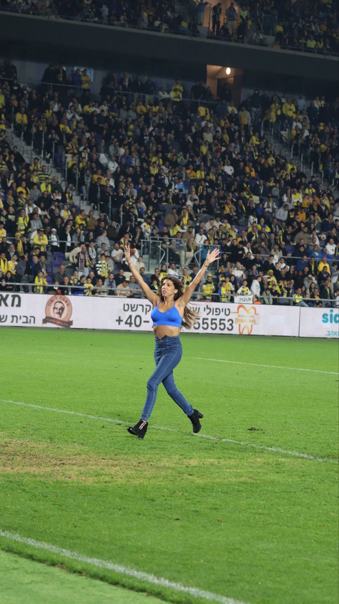 Guy Segal tweet media