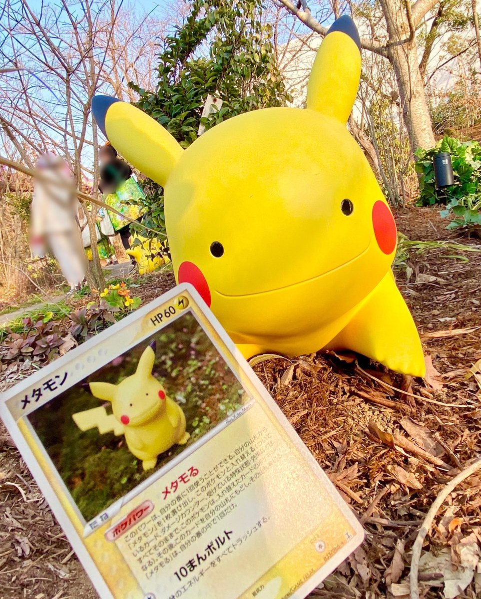 上手にへんしん出来たね⟆͟  ͠･-･𑁤⚡️
#ポケパークカントー