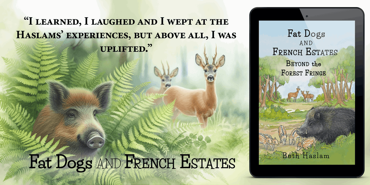 fatdogsfrance's tweet image. We could never have imagined that one wild animal might change our lives. Join me in our domaine forest, a magical wildlife haven filled with surprises. 💙 🐾#NewRelease #BooksWorthReading #bookstoread #AnimalLovers bit.ly/Fat-Dogs-Beyon…